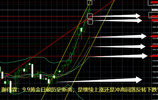 10淘金-謝偉霖：9.9黃金日破歷史新高，是繼續上漲還是沖高回落反轉下跌？